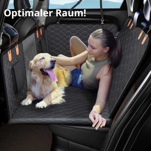 HundeFahrt™ - Starker und sicherer Schutz für die Rücksitze